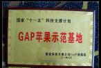 GAPƻʾ